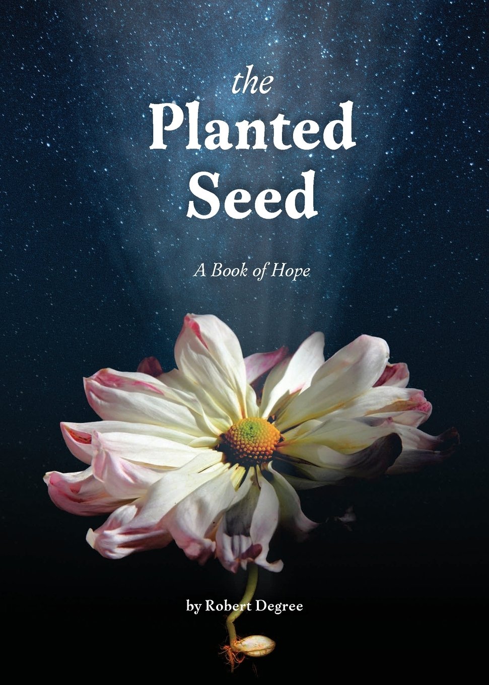 Planted Seed.jpg