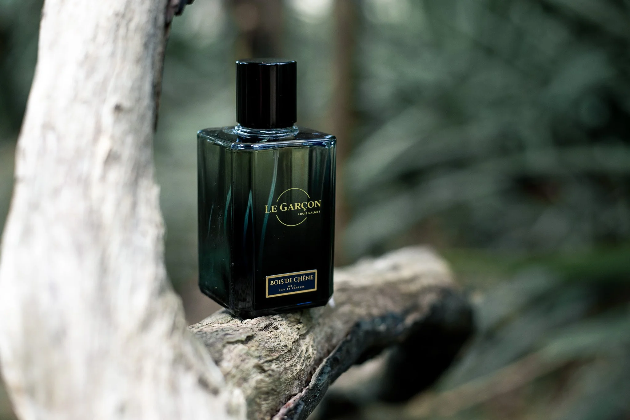 Fragrance Maison Le Garçon