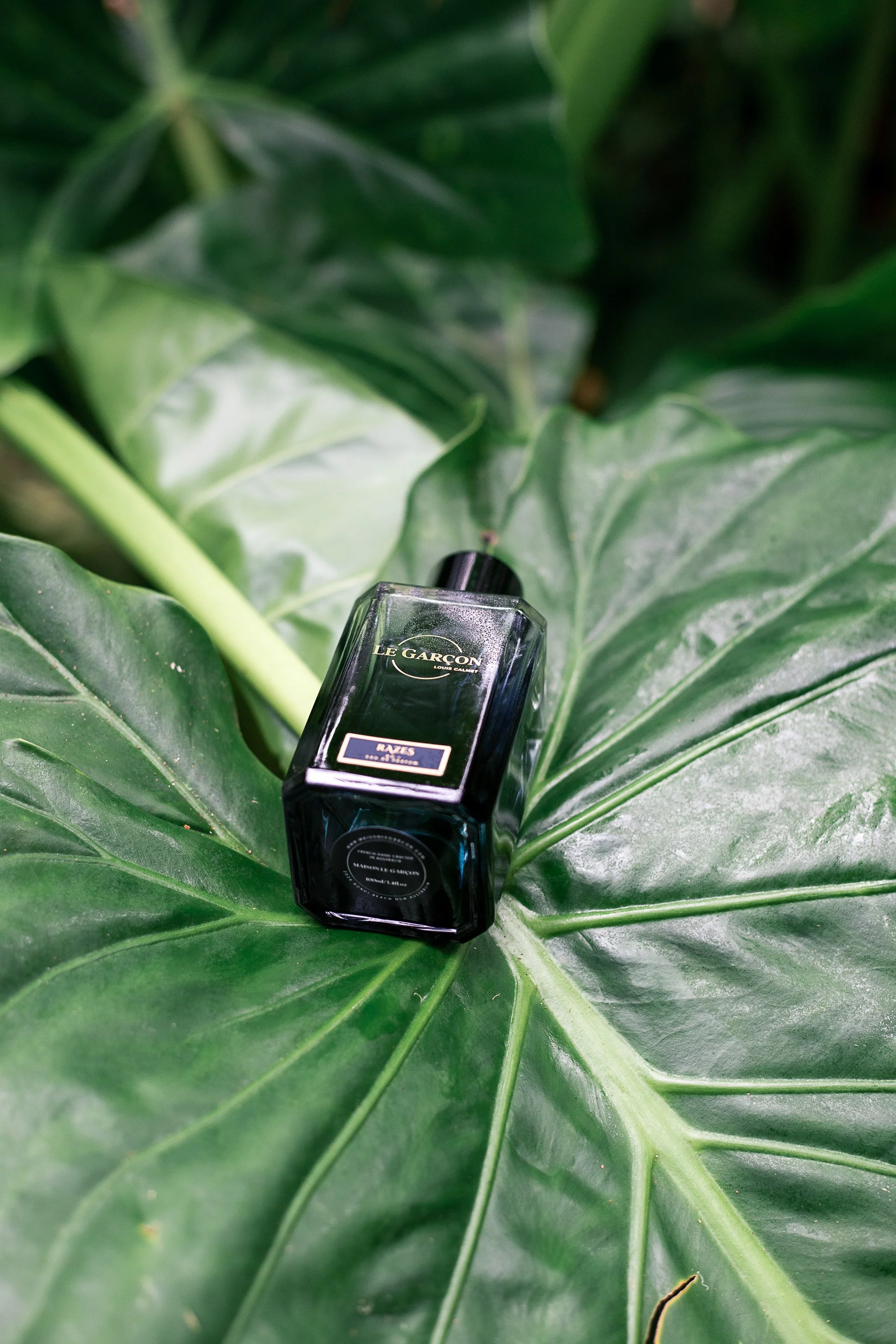 Fragrance Maison Le Garçon