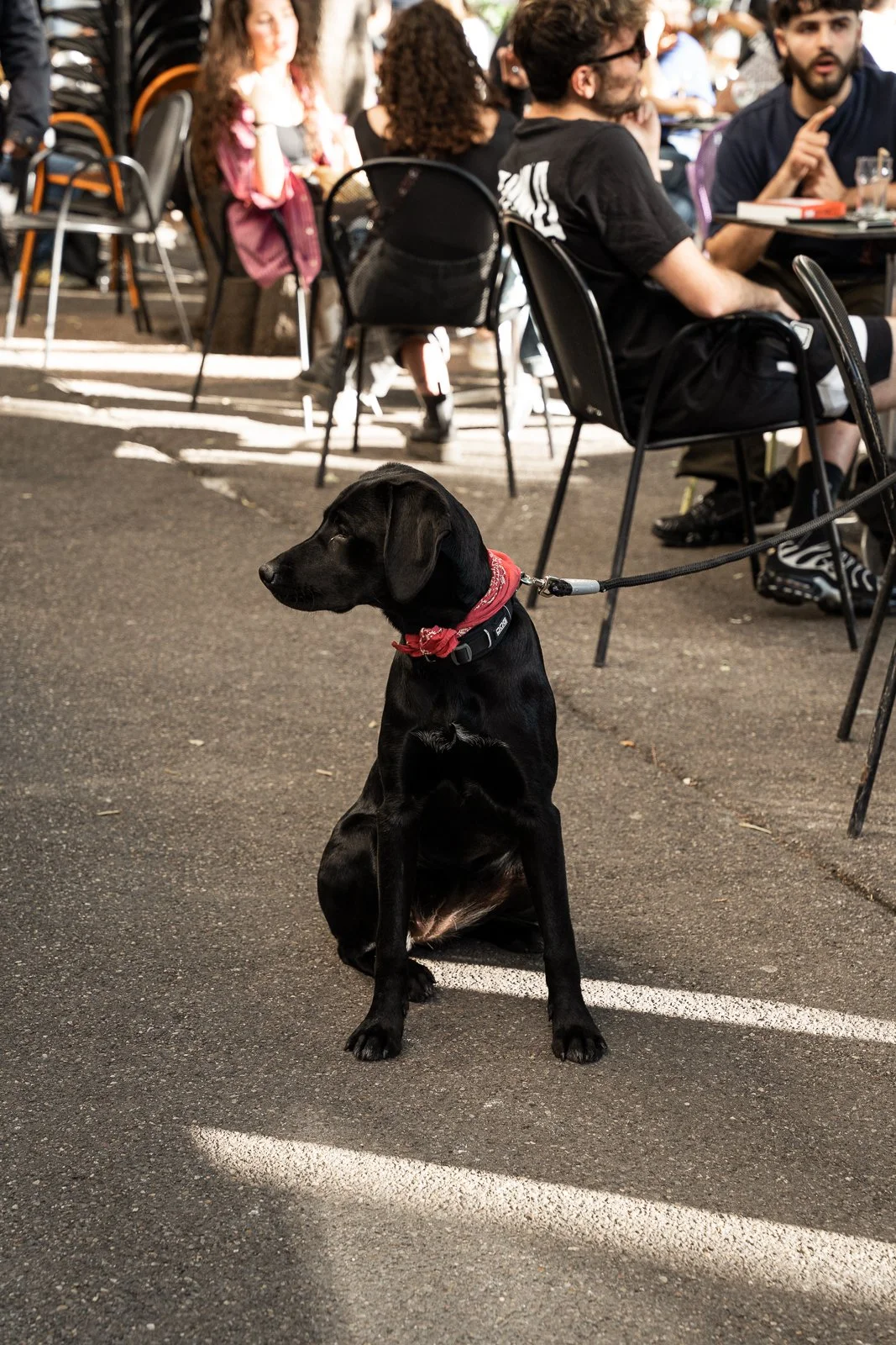 Danaides Mai 25-39.jpg