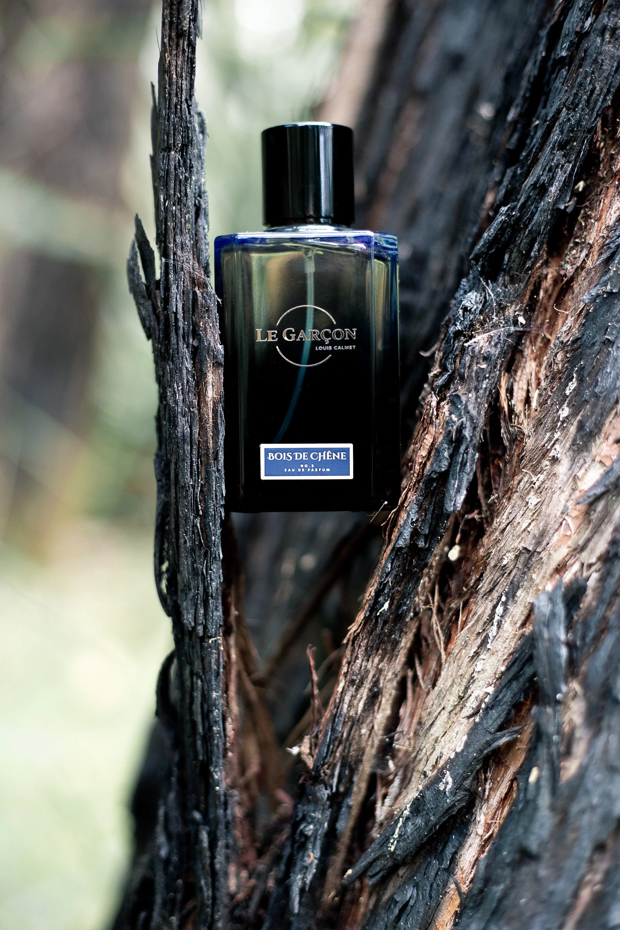 Fragrance Maison Le Garçon