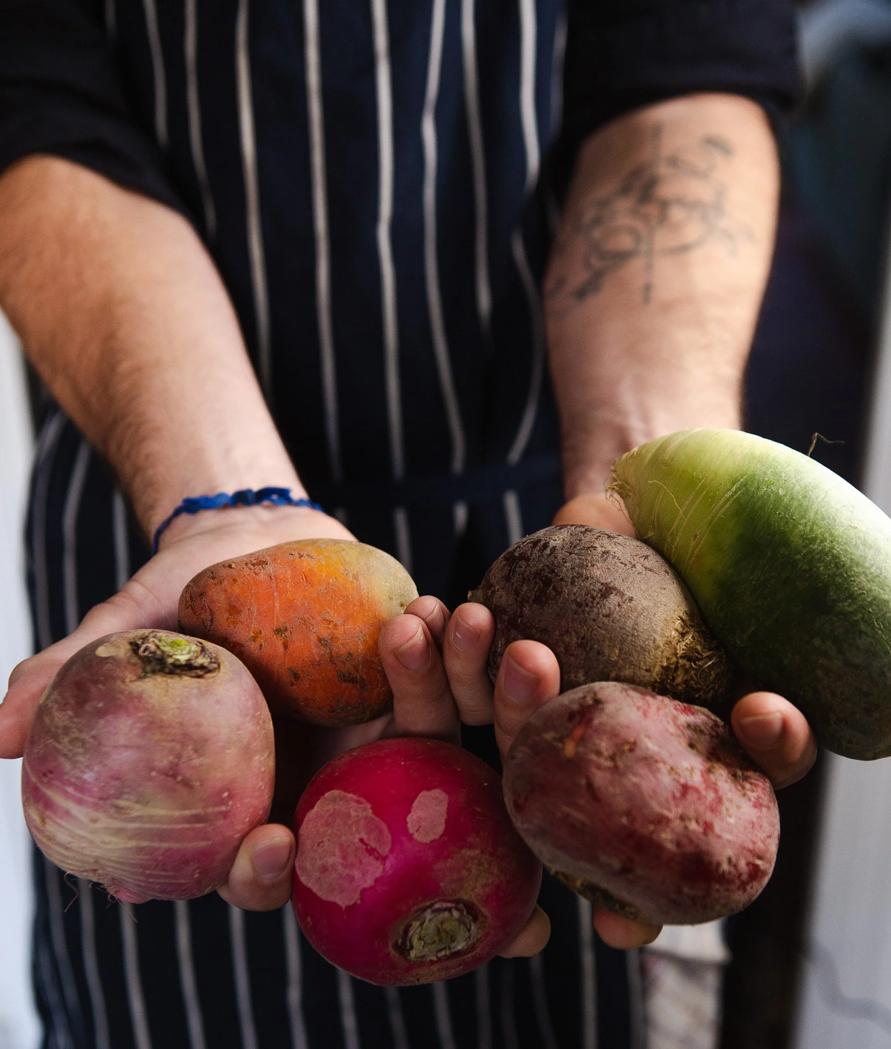 Chef Clement Pauline SUC Photography.jpg