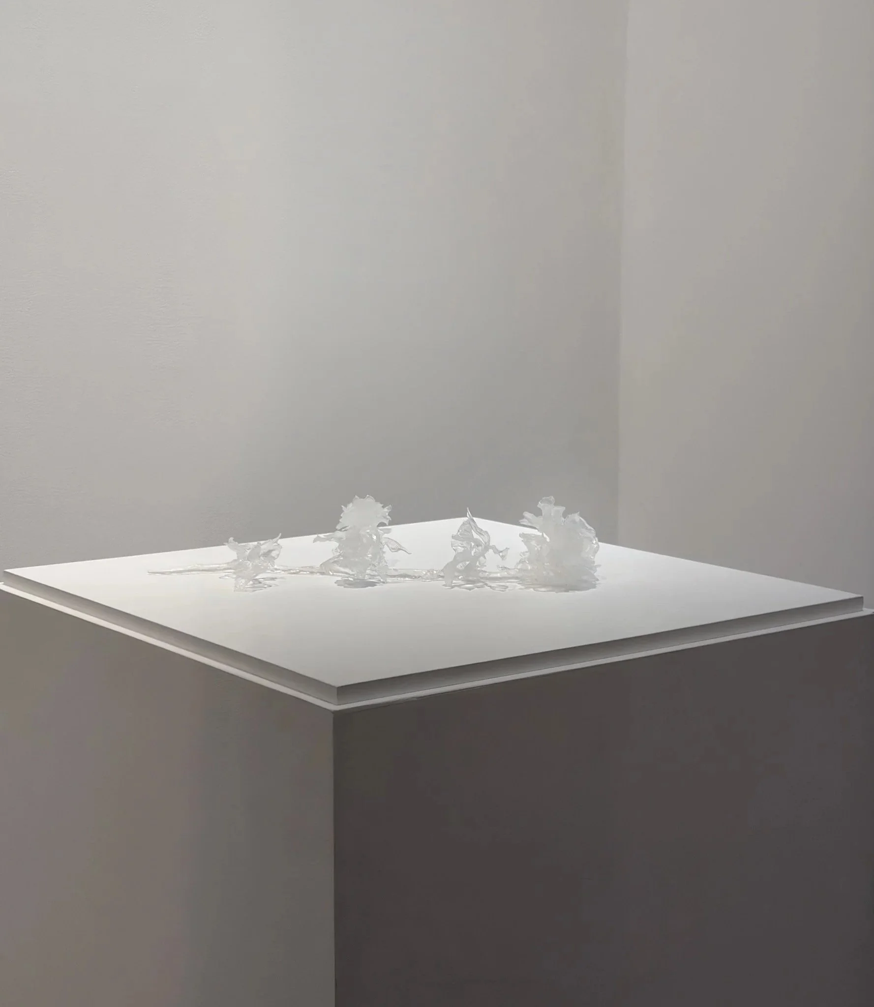 Jamie Franks  A rose for Christopher D’Arcangelo (the hydra) , 2026
 isomalt
 
18 x 9 x 3 ½ in | 45.7 x 22.9 x 8.9 cm