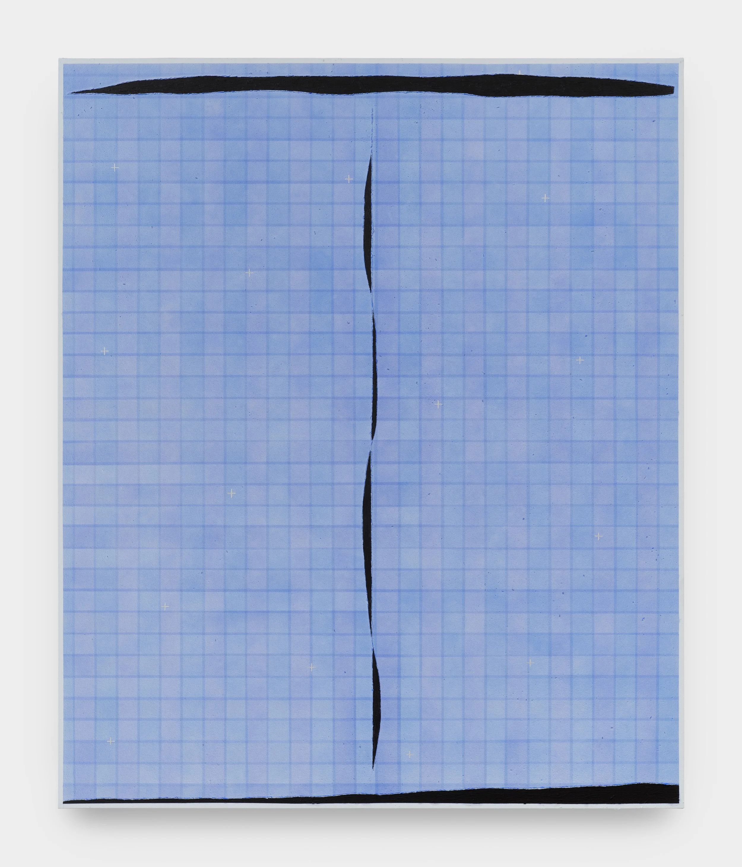  Higher mind/Wisdom body/Cosmos , 2025 
acrylic, ash, salt, resin, flowers on canvas 
60 x 72 in | 152.40 x 182.88 cm