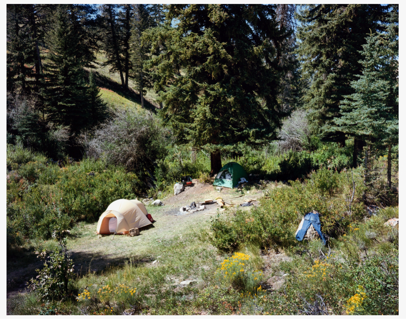 Stephen Shore 
 Jackson Wyoming, September 2, 1979 , 1979 
chromogenic contact print 
framed: 14 1/2 x 17 1/2 in | 36.8 x 44.4 cm