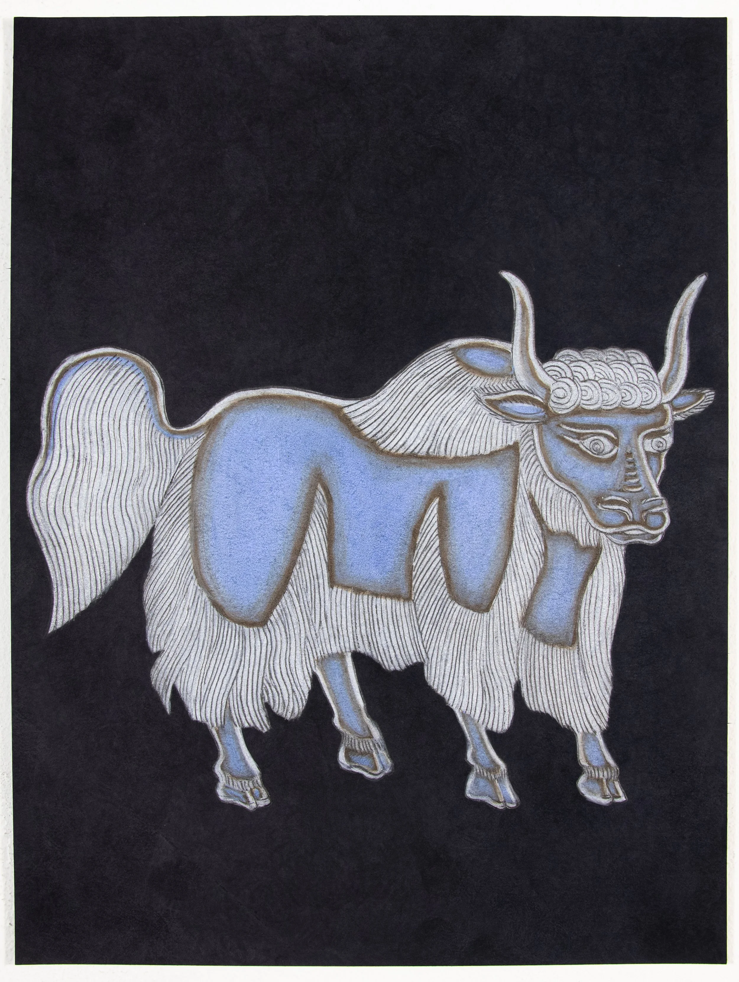 Nancy Blum  Black Drawing: Animal 10 , 2020
 colored pencil and graphite on paper 
12 x 9 in | 30.5 x 22.9 cm
