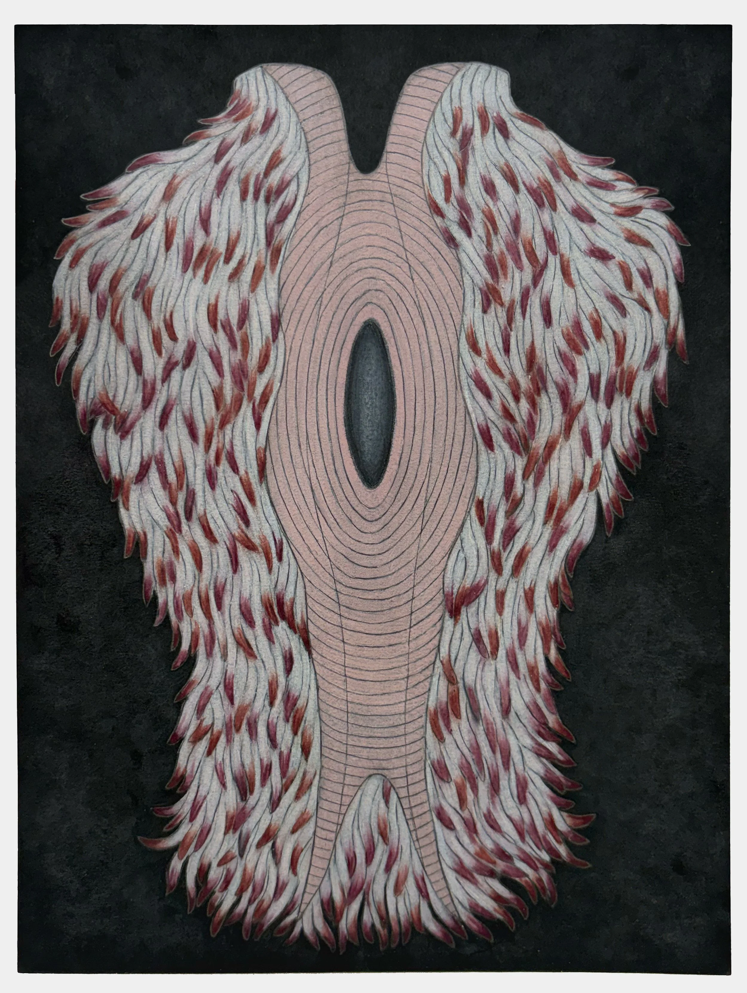 Nancy Blum  Black Drawing 258 , 2026
 colored pencil and graphite on paper 
12 x 9 in | 30.5 x 22.9 cm