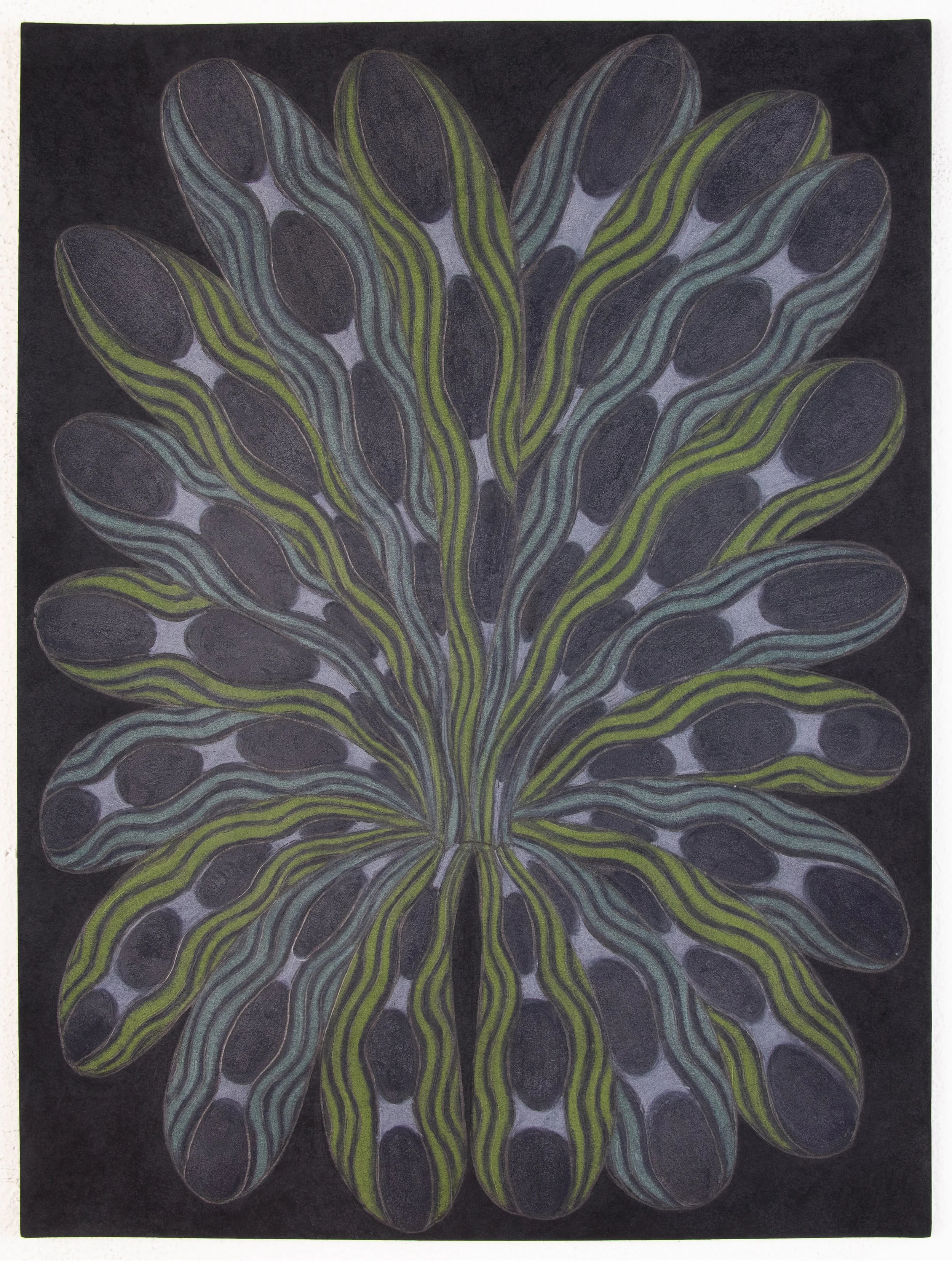 Nancy Blum  Black Drawing 193 , 2025
 colored pencil and graphite on paper 
12 x 9 in | 30.5 x 22.9 cm
