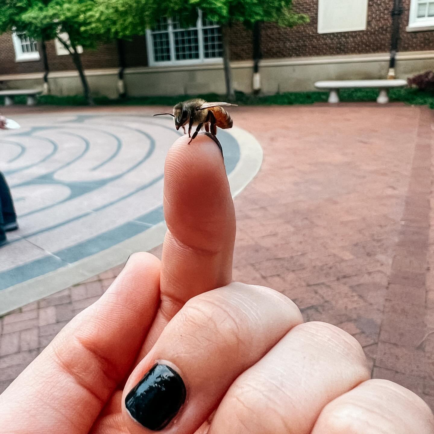 🐝
We had a special guest join us for worship + dinner last night! Here&rsquo;s your reminder to bee present this week and to look for signs of God&rsquo;s abundant love in your midst. 

This Sunday is our last worship of the semester so don&rsquo;t 