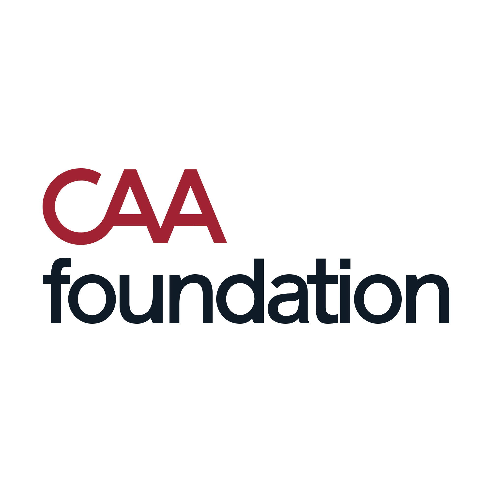 CAA Foundation (Copy)