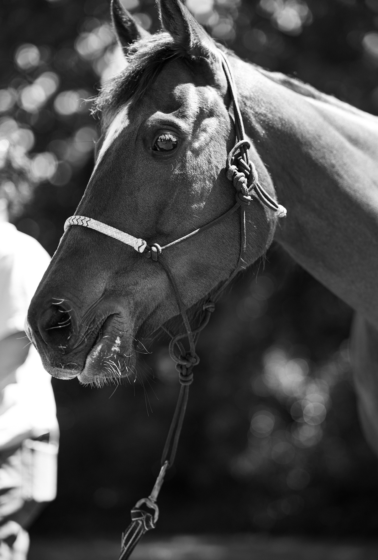 View recent photos 4.png