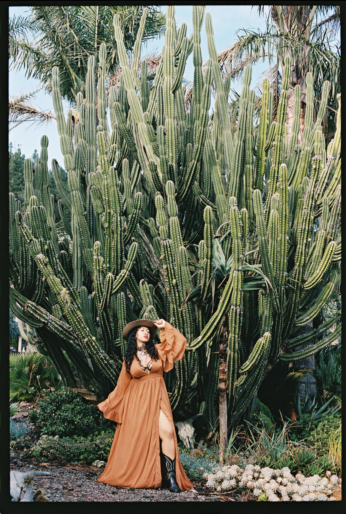 View recent photos 23.png