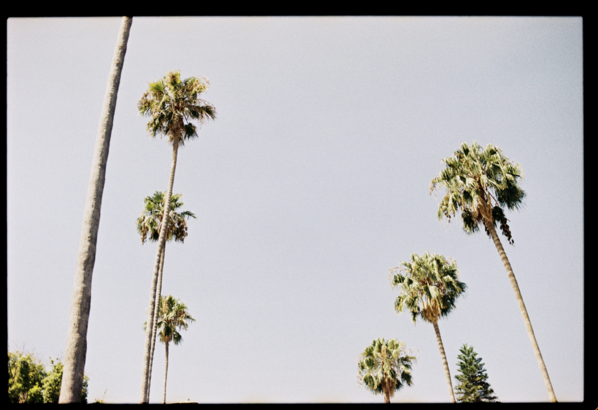 View recent photos 65.png