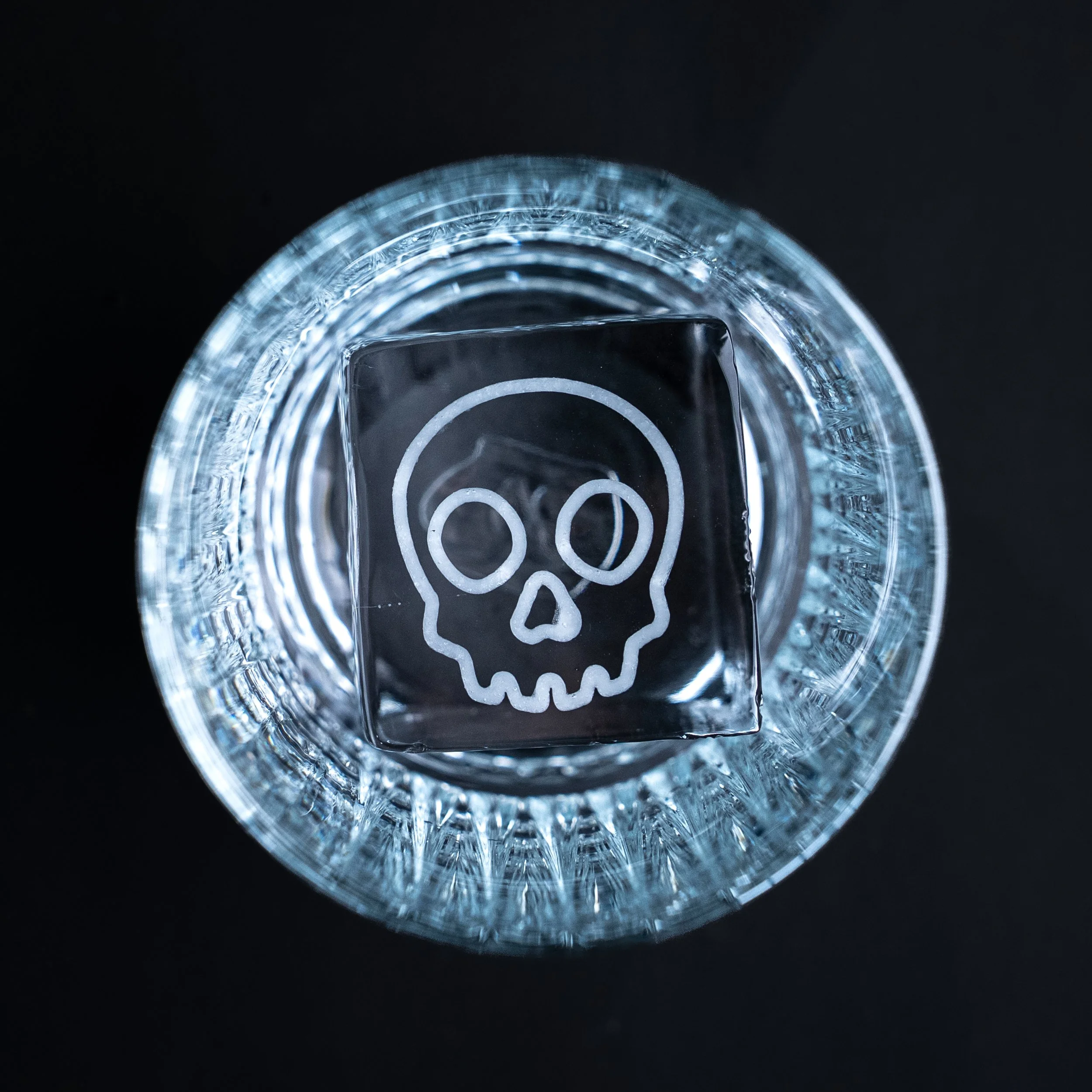 Skull-2025.jpg (Copy)