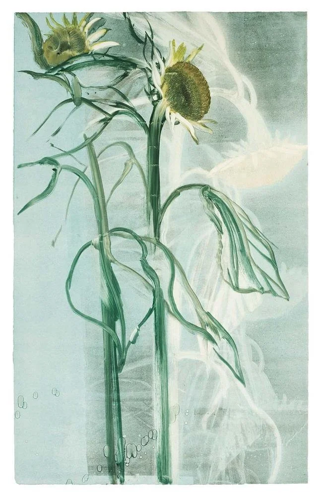 Night Sunflowers (Cognate II), 1982
