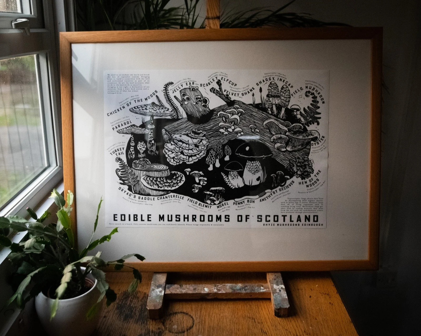 Mushrooms of Scotland A2  Foraging Poster