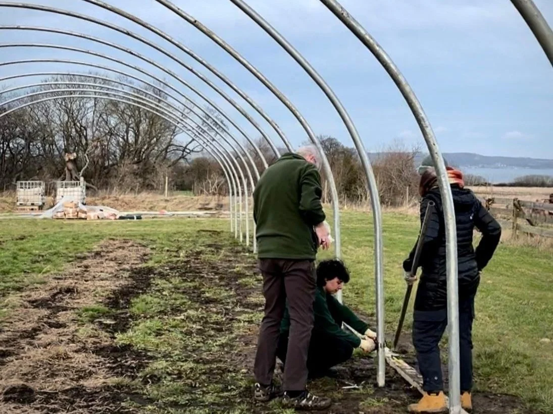 Our Story-History _  Timelinebuildpolytunnel.jpg