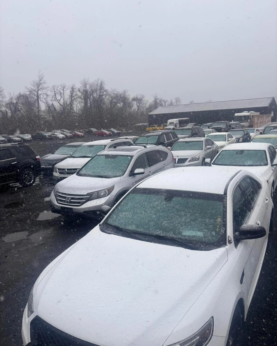 ❄️ Snow or Rain&hellip; The Auction Still Rolls On! 🚗💨

Don&rsquo;t let the weather fool you &mdash; we are still OPEN and the auction is happening TONIGHT! Rain, snow, or shine, the lanes will be running and the deals will be flying.

If you&rsquo