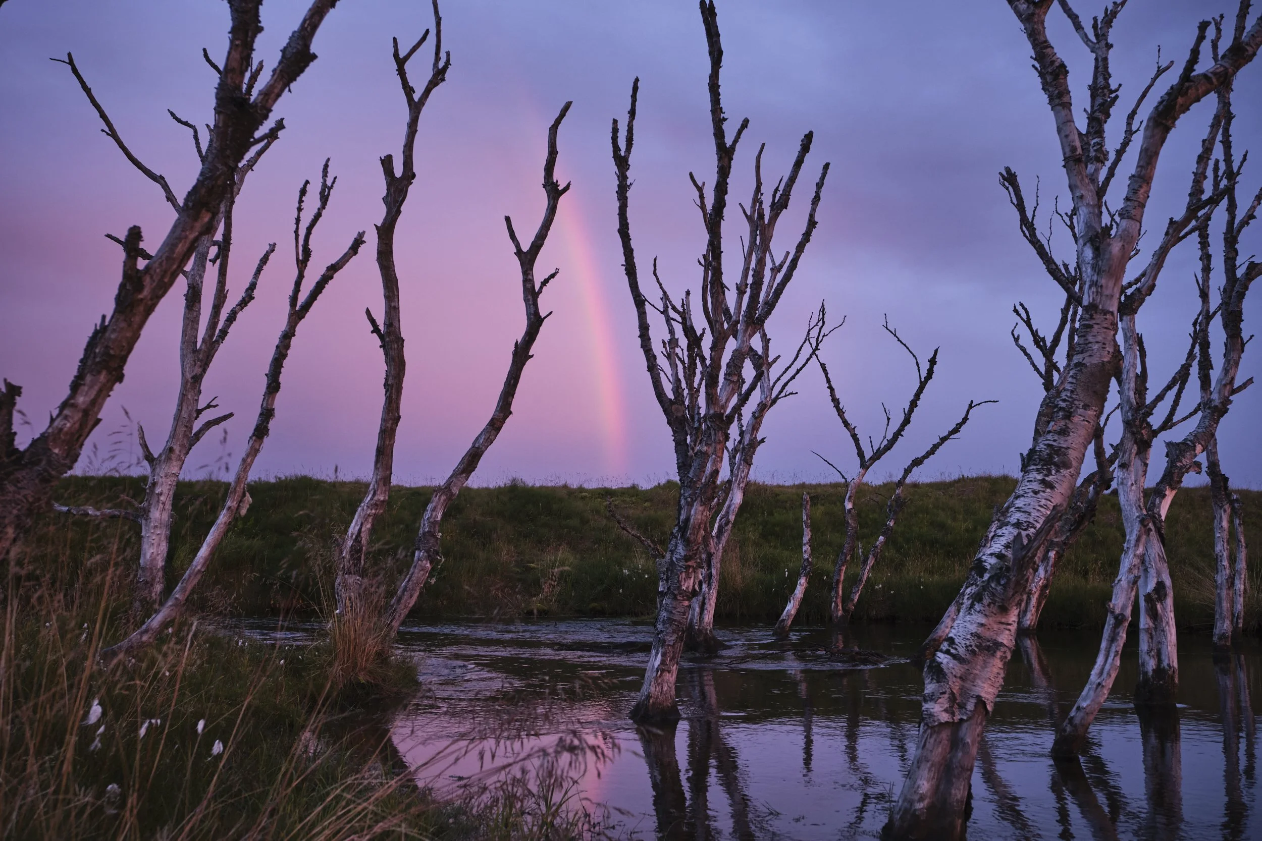 ICELAND-RAUL MORENO.jpg