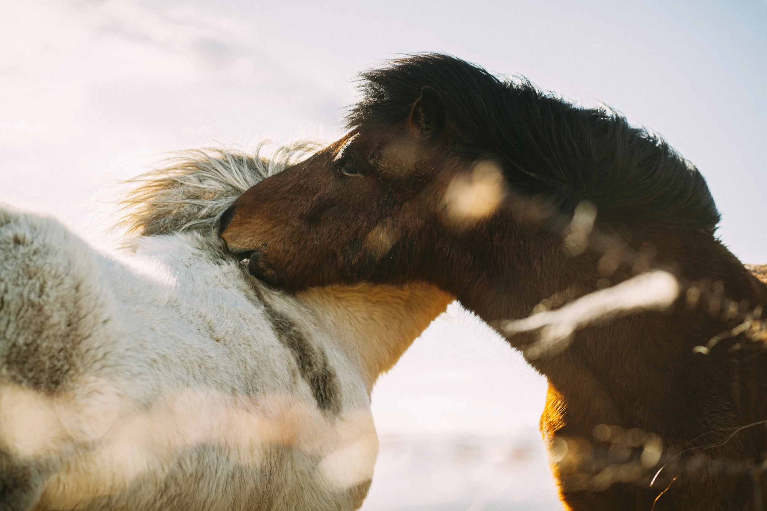 ISLANDIA_©RAUL MORENO-7.jpg