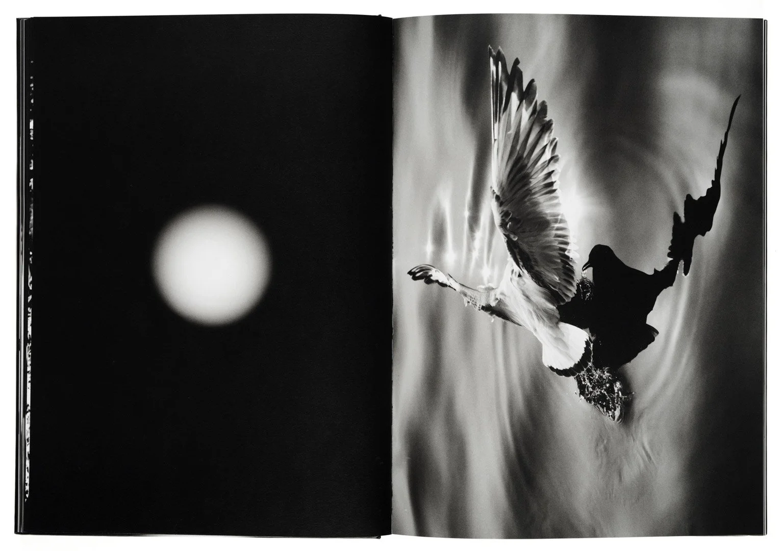 02-c-aura-libro-05.jpg