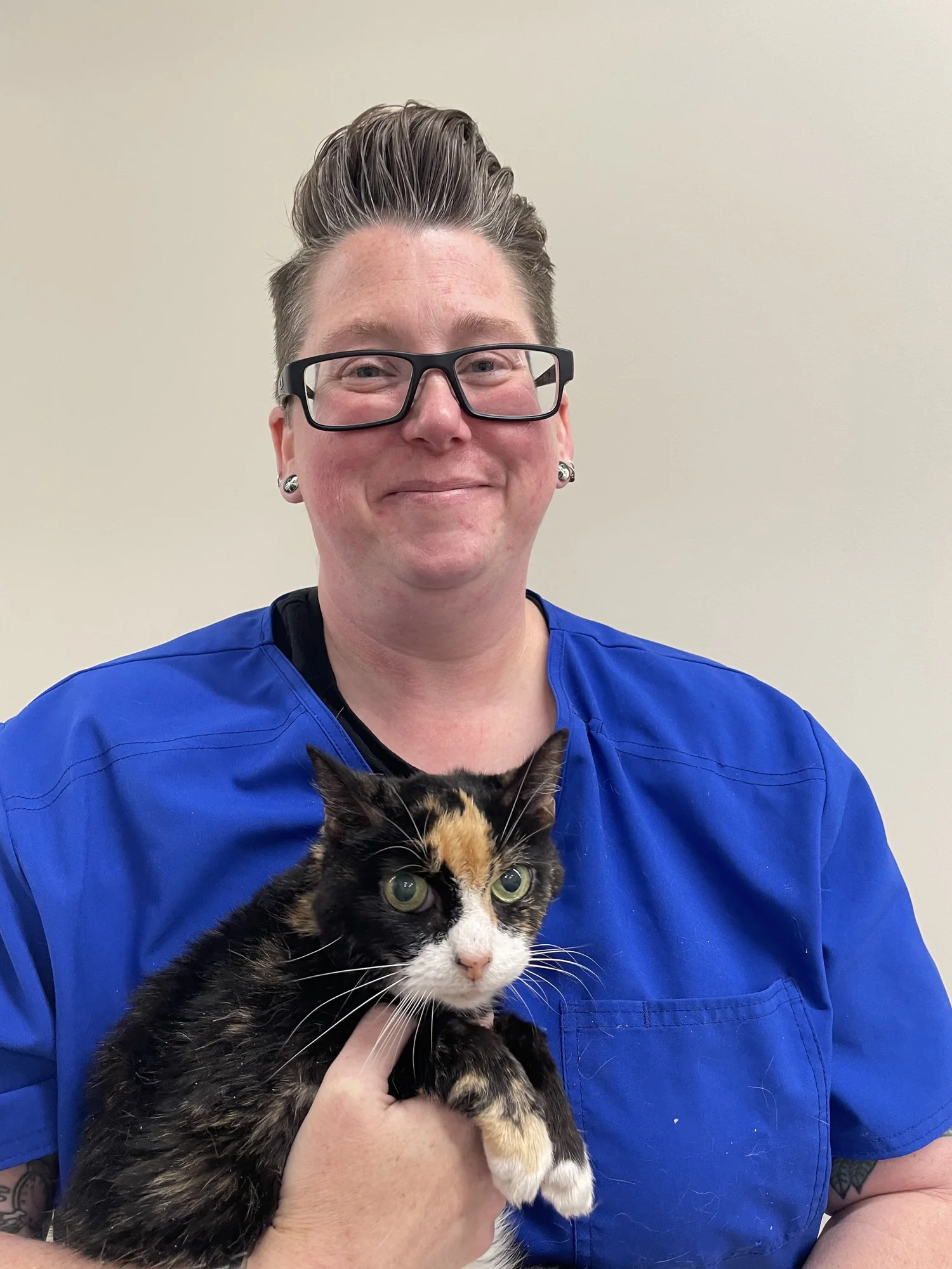 Dedicated Veterinary Staff for Your Pet's Care in Reccick, Florida ...