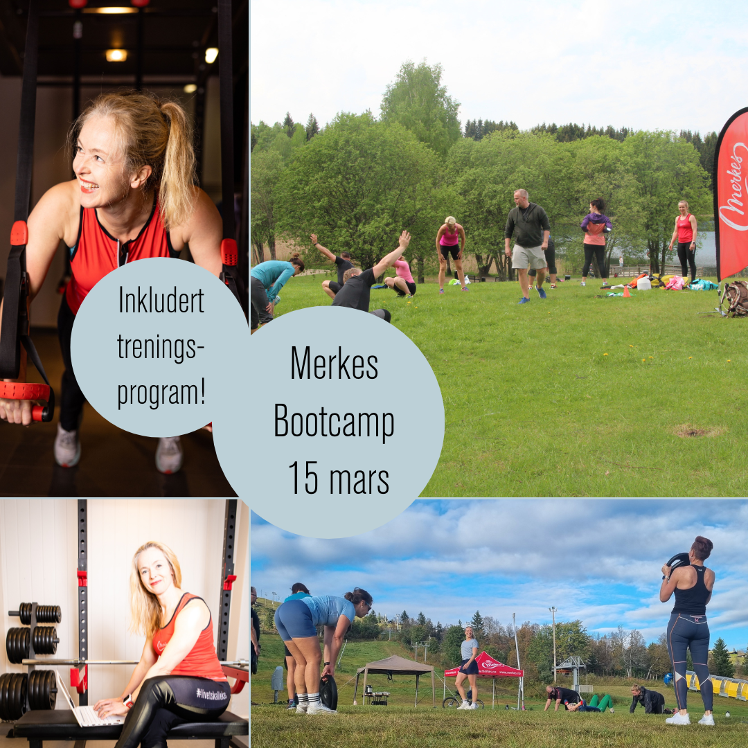 Merkes Bootcamp 15.mars.png