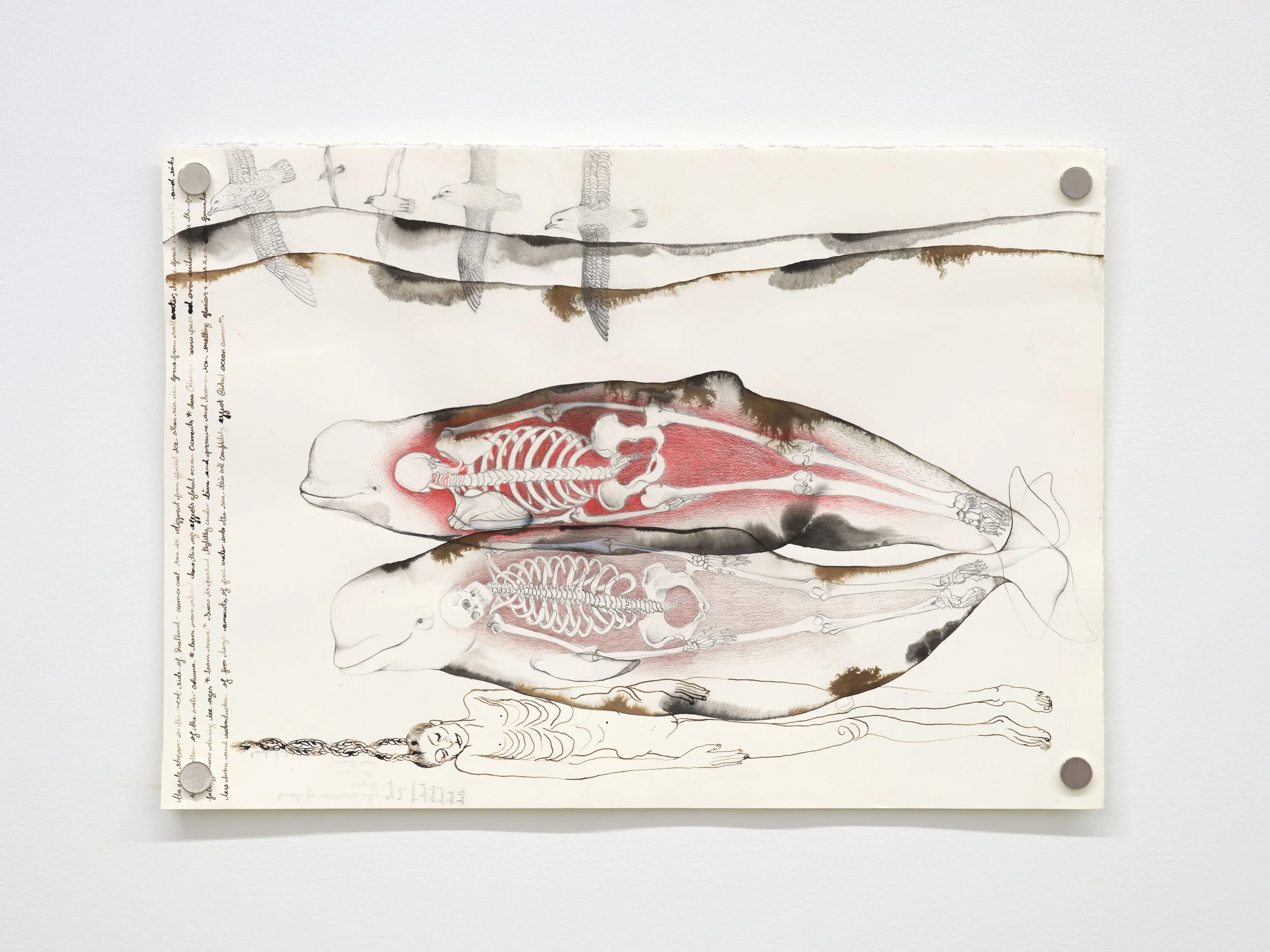    Untitled   • 2026 Ink, graphite, and color pencil on paper 15 1/4 x 21 1/4 in | 38.7 x 54 cm 