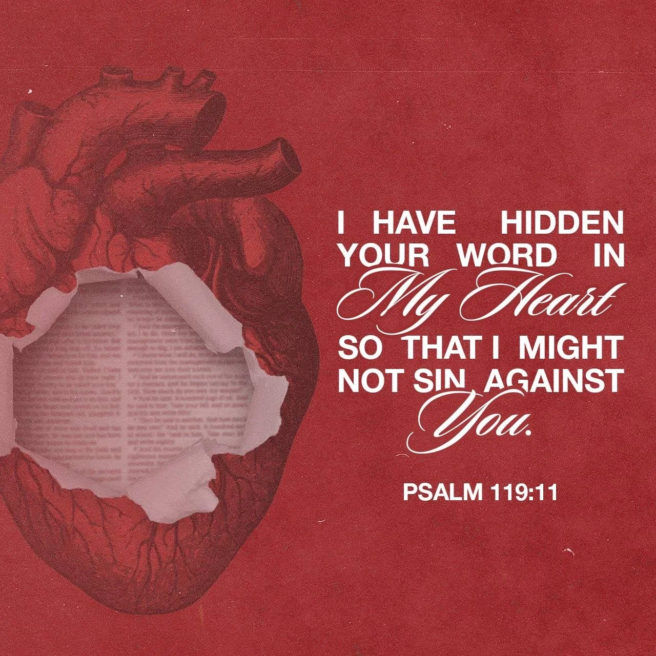 Psalm 19 episode artwork