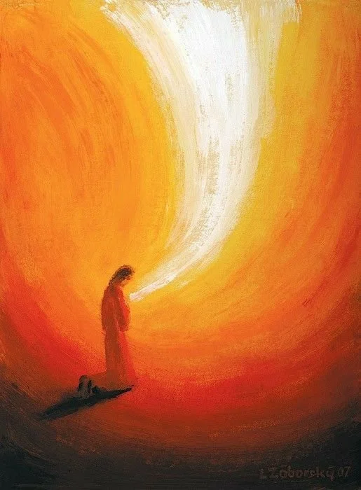 Prt 1 Doctrines of Grace - Total Depravity (Daniel Gomes)