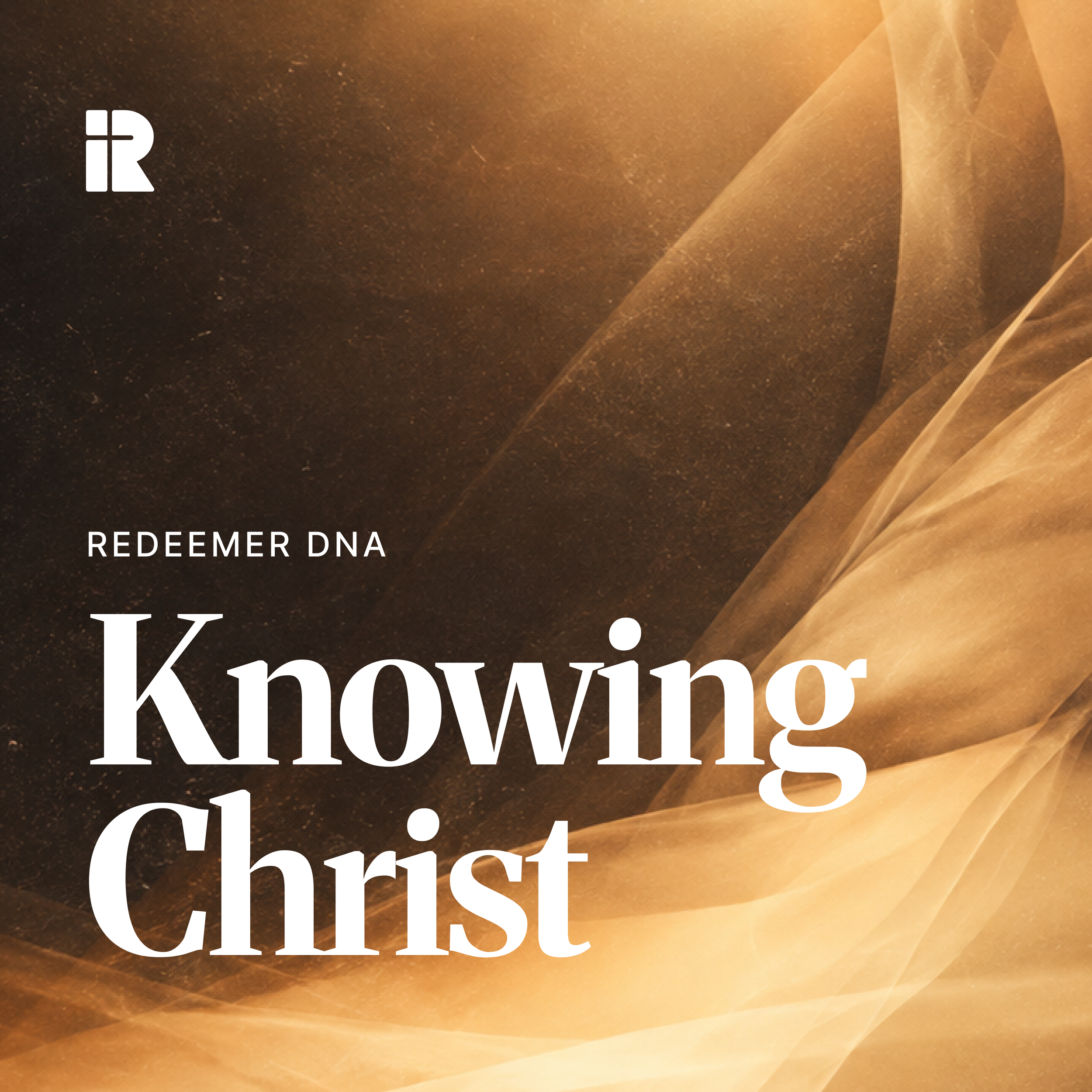 Redeemer DNA: Knowing Christ (Daniel Gomes)