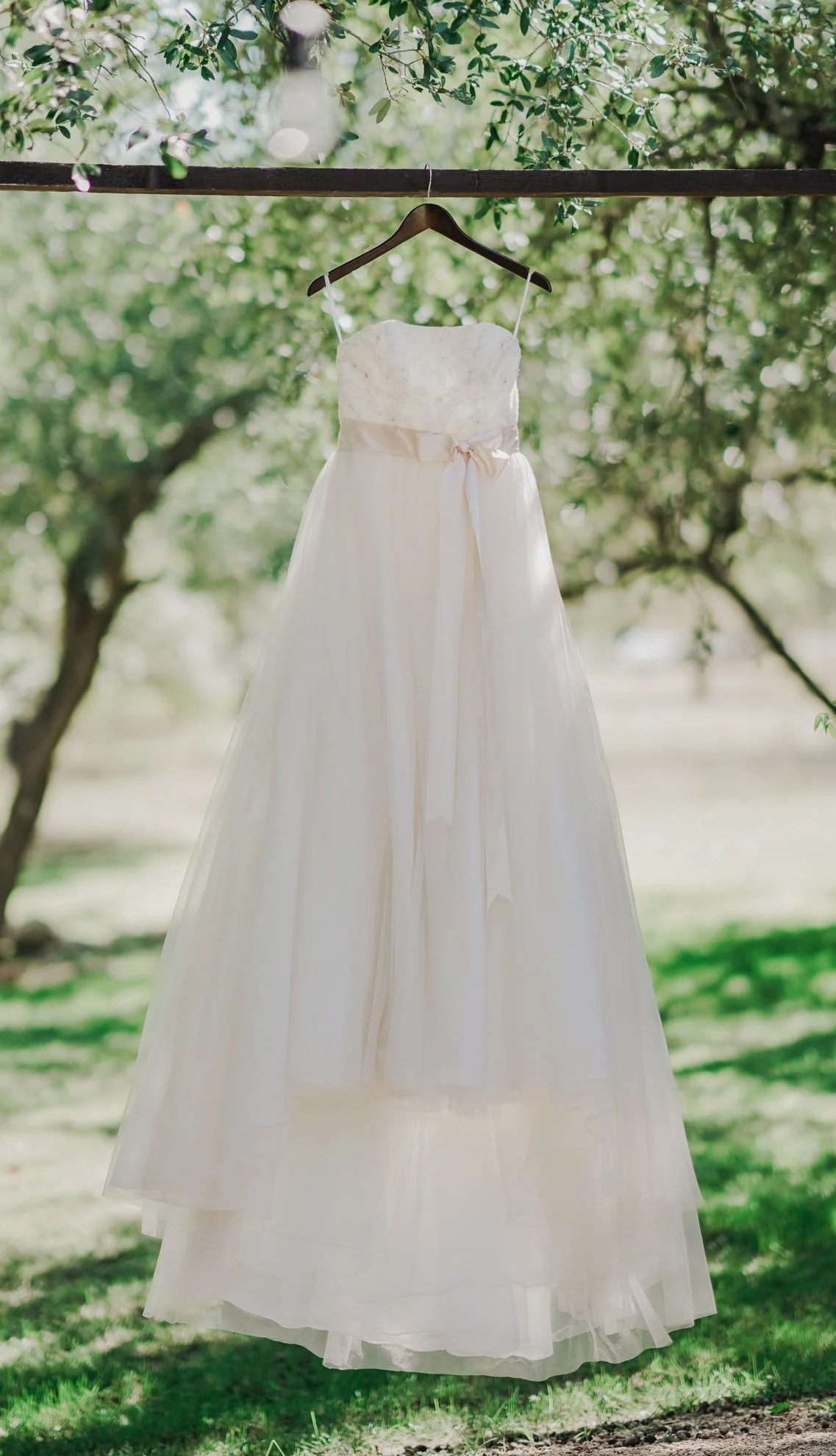 A white wedding dress hanging on a brown hanger from a horizontal wooden branch, surrounded by green leaves and trees, in a natural outdoor setting.