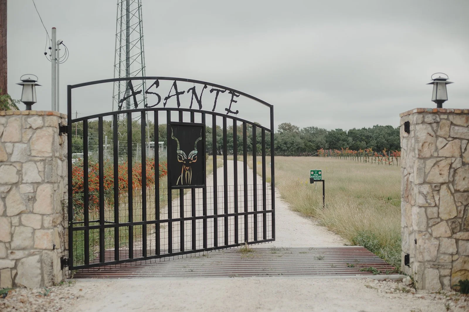 Black metal gate with the word 'ASANTE' and an kudu illustration, flanked by stone pillars with lanterns, opening to a gravel driveway and grassy field under cloudy sky. Entrance on to lodging property.