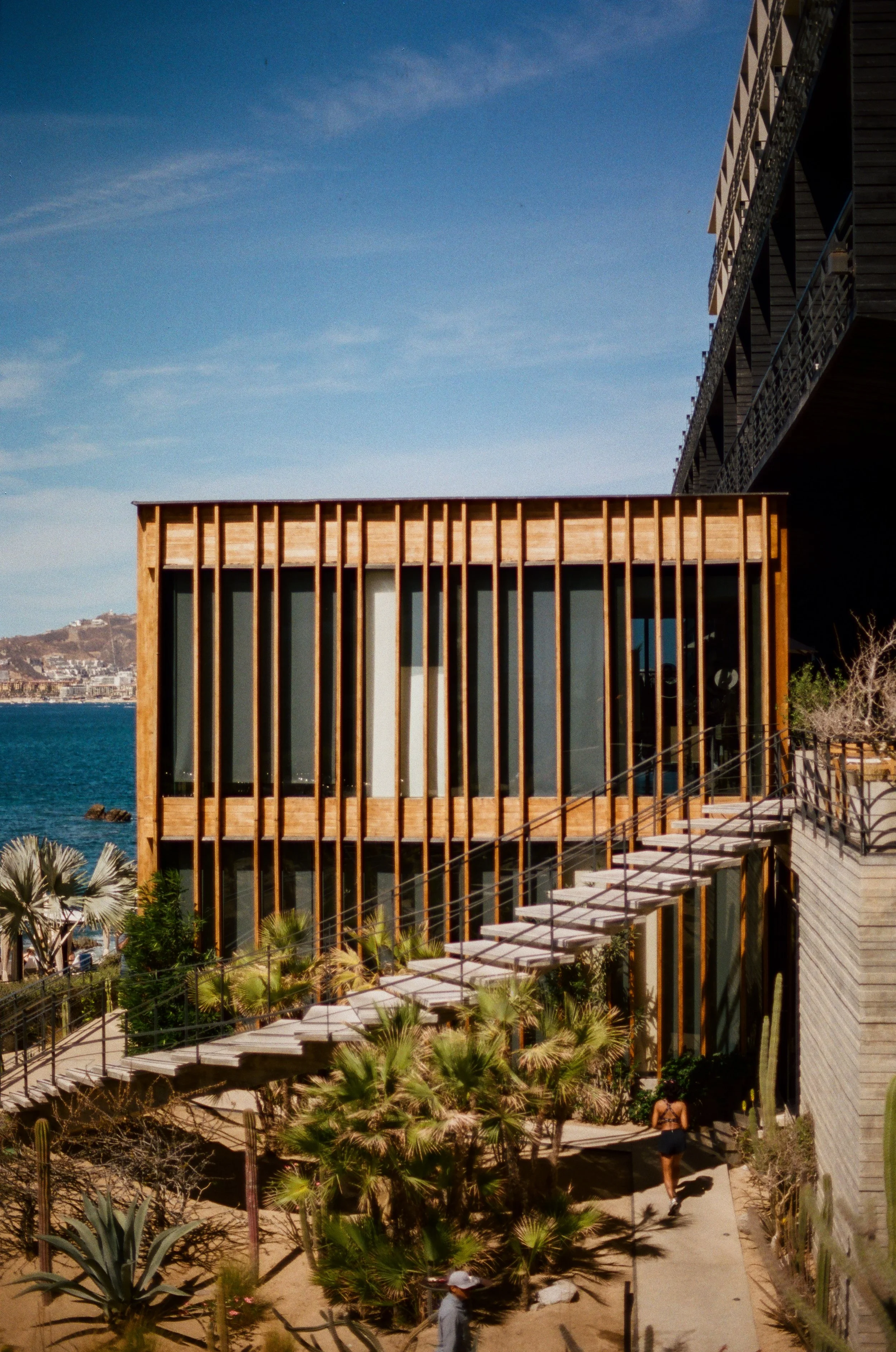 Modern building with wooden slats and large windows overlooking the ocean, with a unique staircase and desert plants in the foreground.