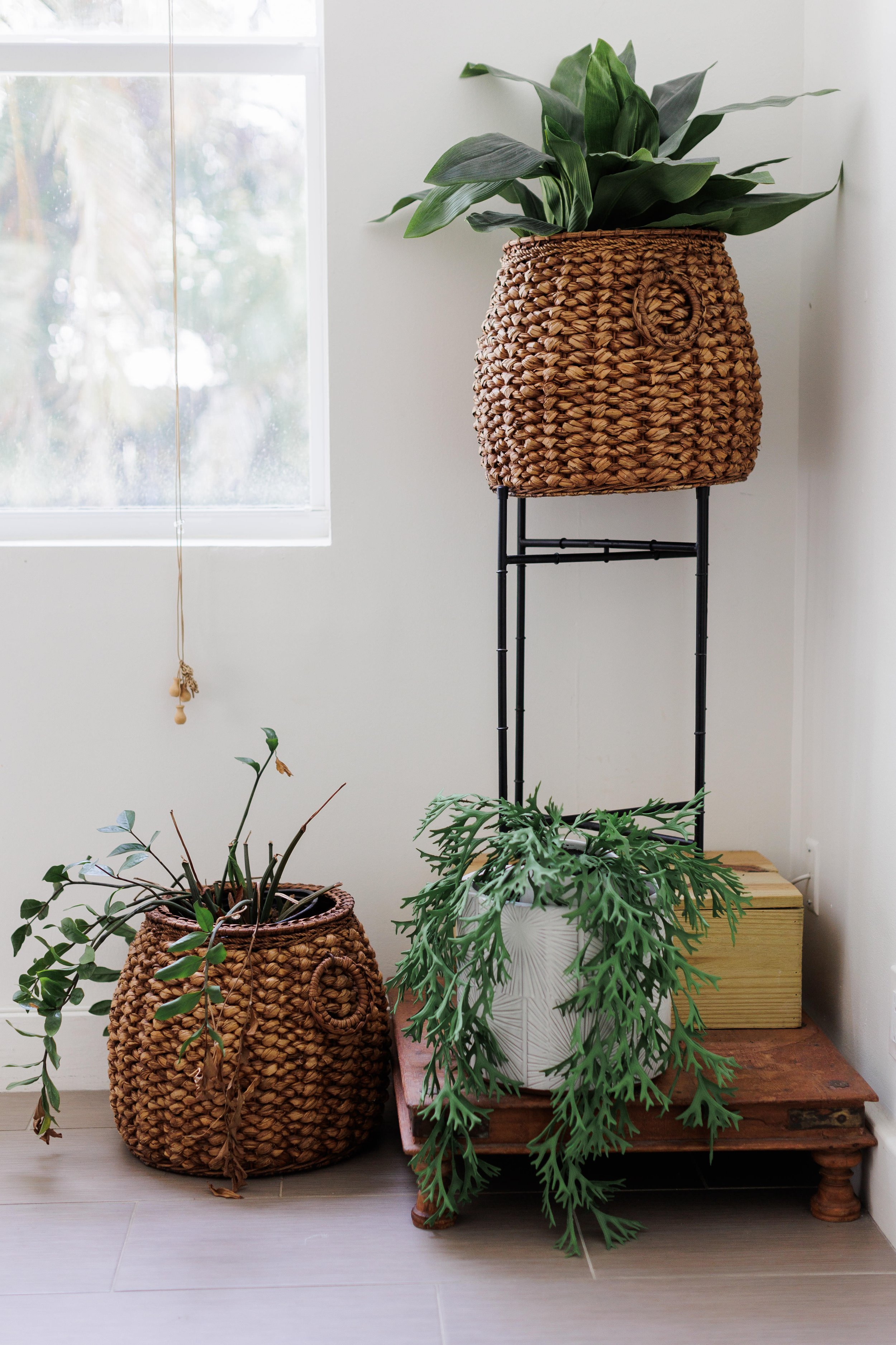 Indoor scene with two potted plants in woven baskets and a third plant on a wooden stand by a window.