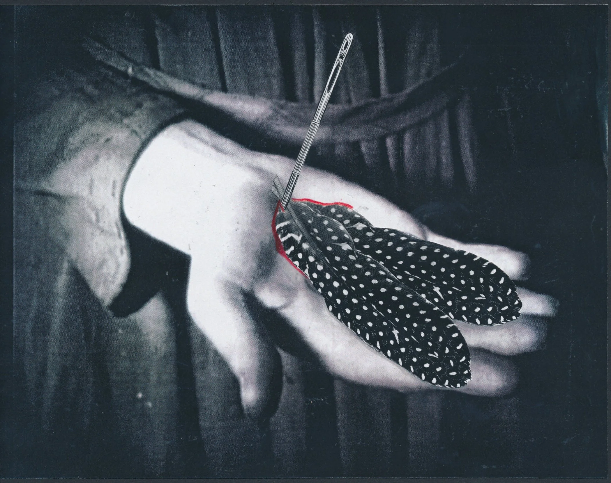 Night Hunter_4 copy.jpg