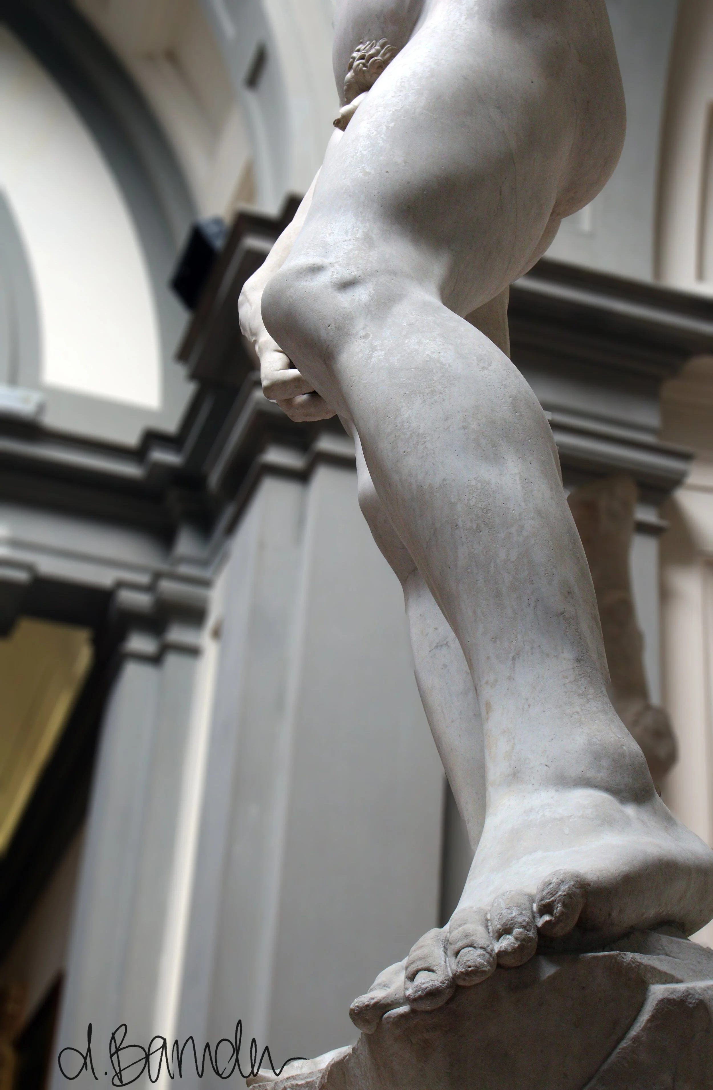 David