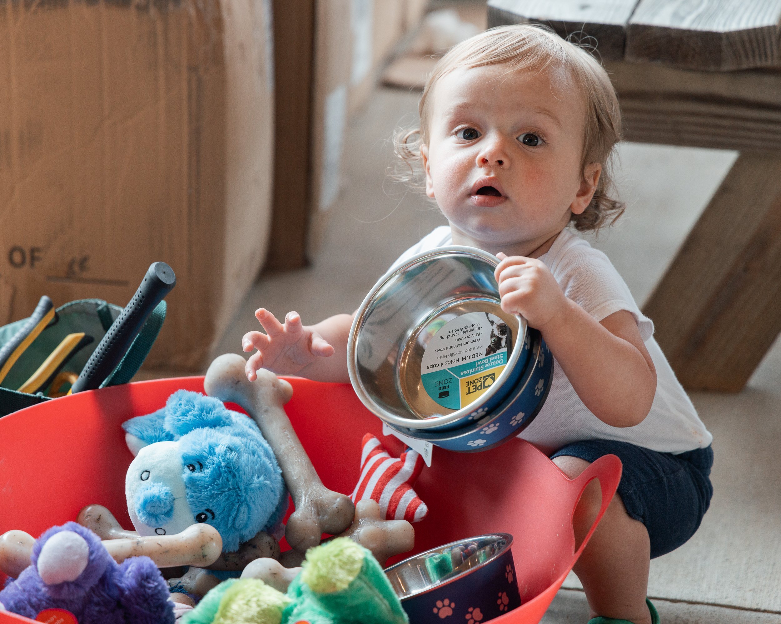 DANIELLEBPHOTOGRAPHY_EVENT_PHOTOGRAPHER_MARYLAND_BEST_-0070.jpg
