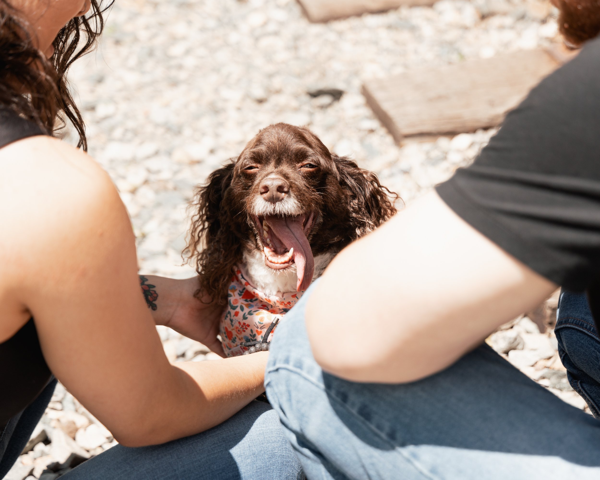 DANIELLEBPHOTOGRAPHY_KATRINA_LOGAN_PHOTOGRAPHER_MARYLAND_BEST_-0024.jpg