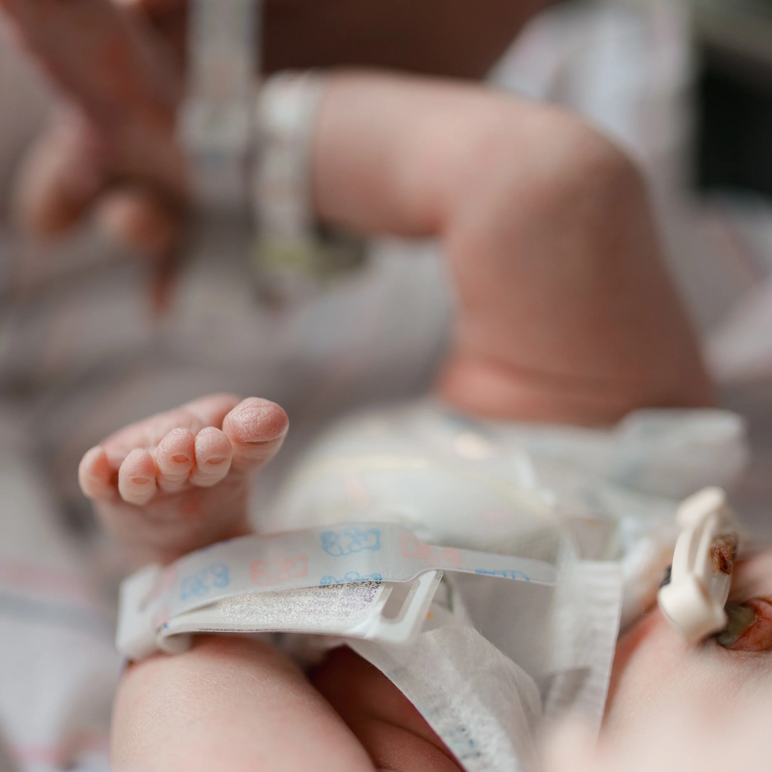 DANIELLEBPHOTOGRAPHY_MASON MITKOFF FRESH 24_02.23.2024_056.jpg