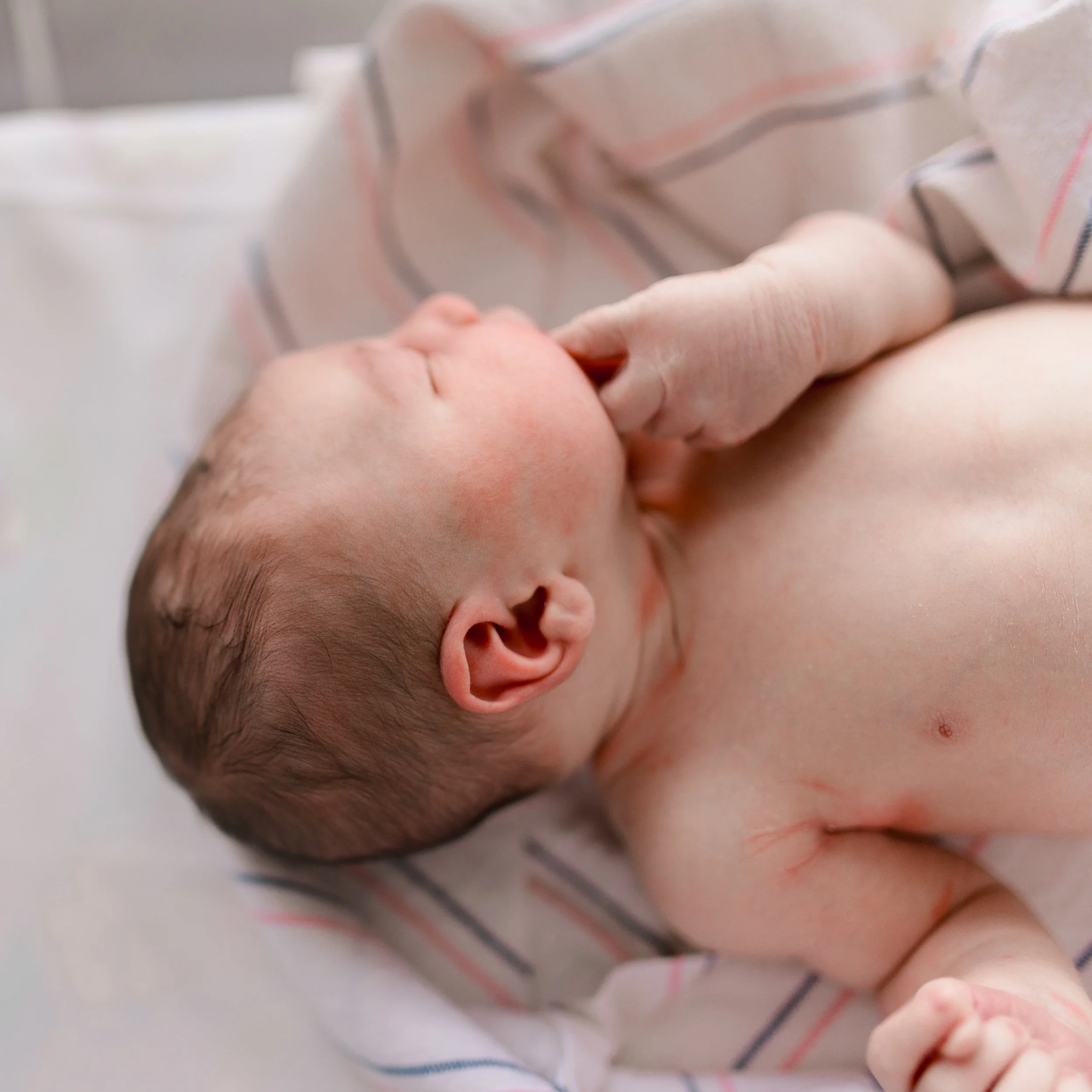 DANIELLEBPHOTOGRAPHY_MASON MITKOFF FRESH 24_02.23.2024_039.jpg