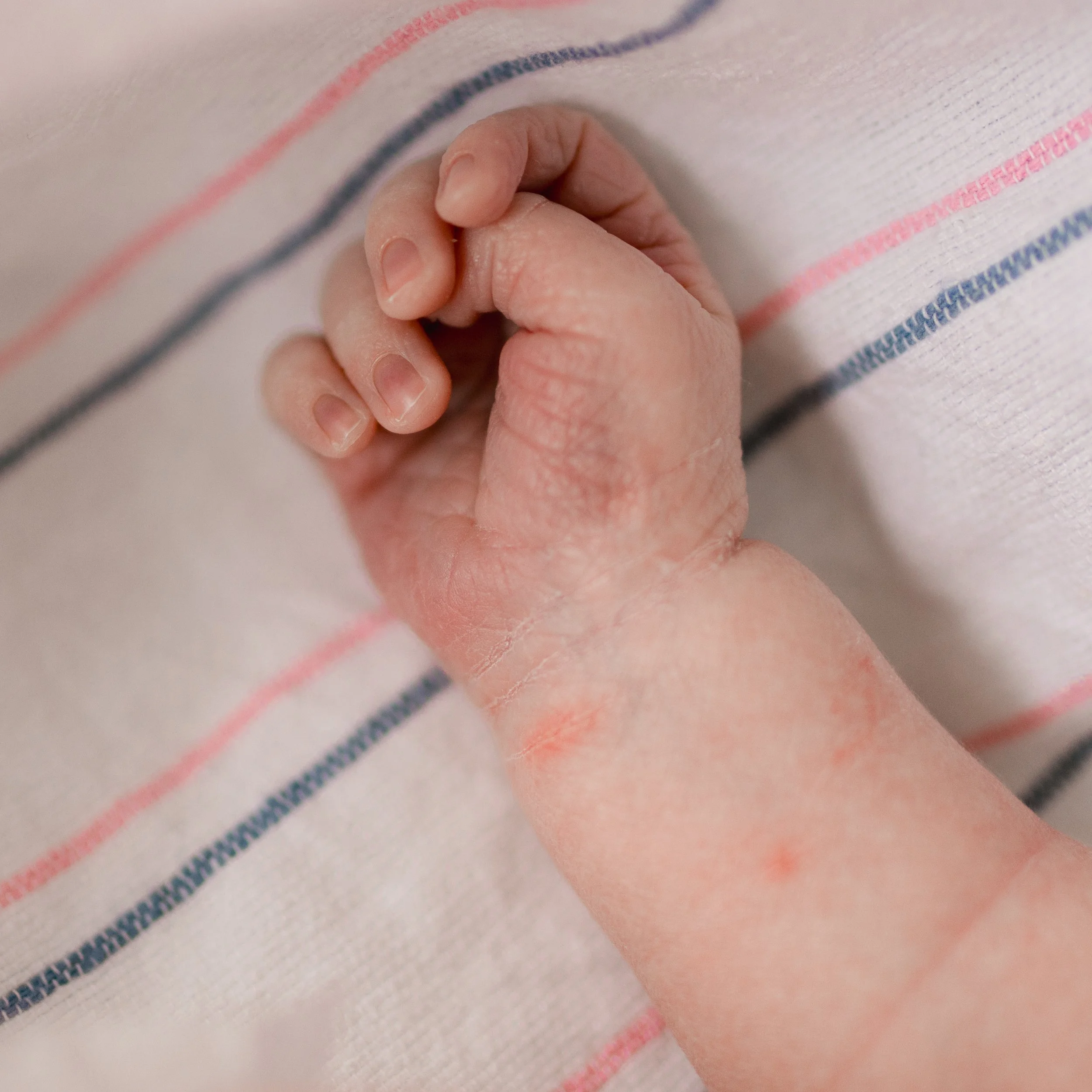 DANIELLEBPHOTOGRAPHY_MASON MITKOFF FRESH 24_02.23.2024_055.jpg