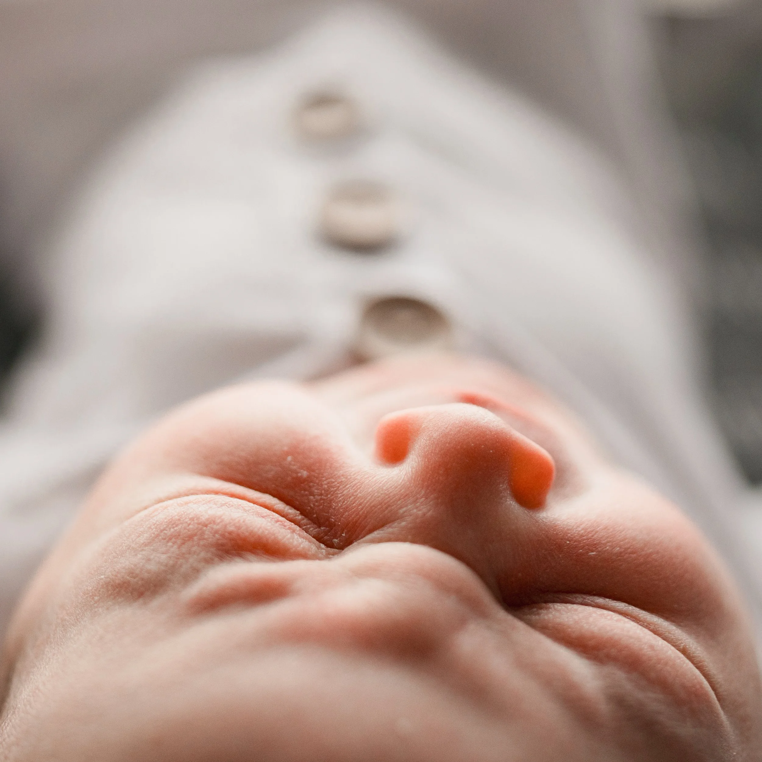 DANIELLEBPHOTOGRAPHY_MASON MITKOFF FRESH 24_02.23.2024_088.jpg