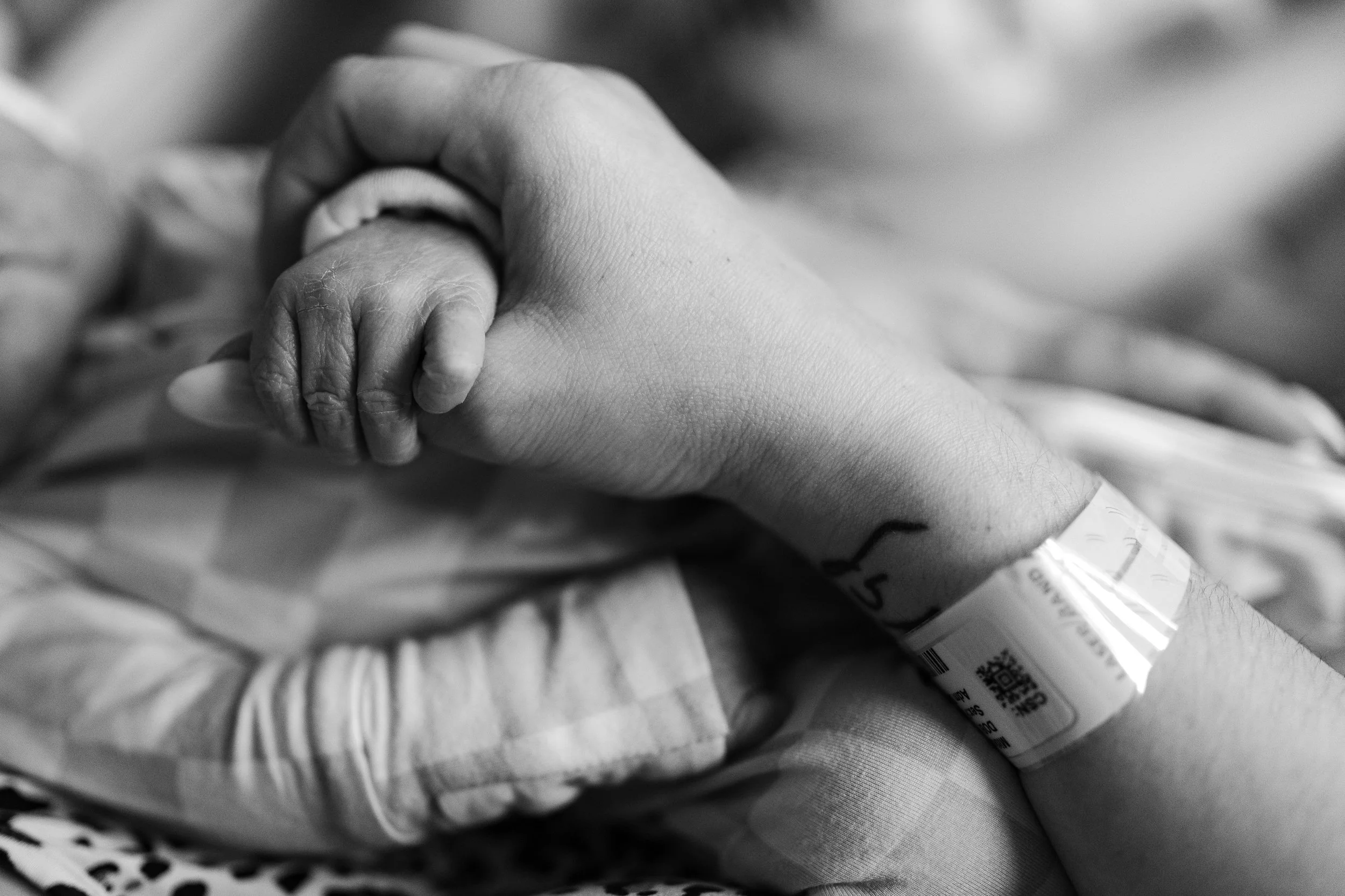 DANIELLEBPHOTOGRAPHY_MASON MITKOFF FRESH 24_02.23.2024_166.jpg