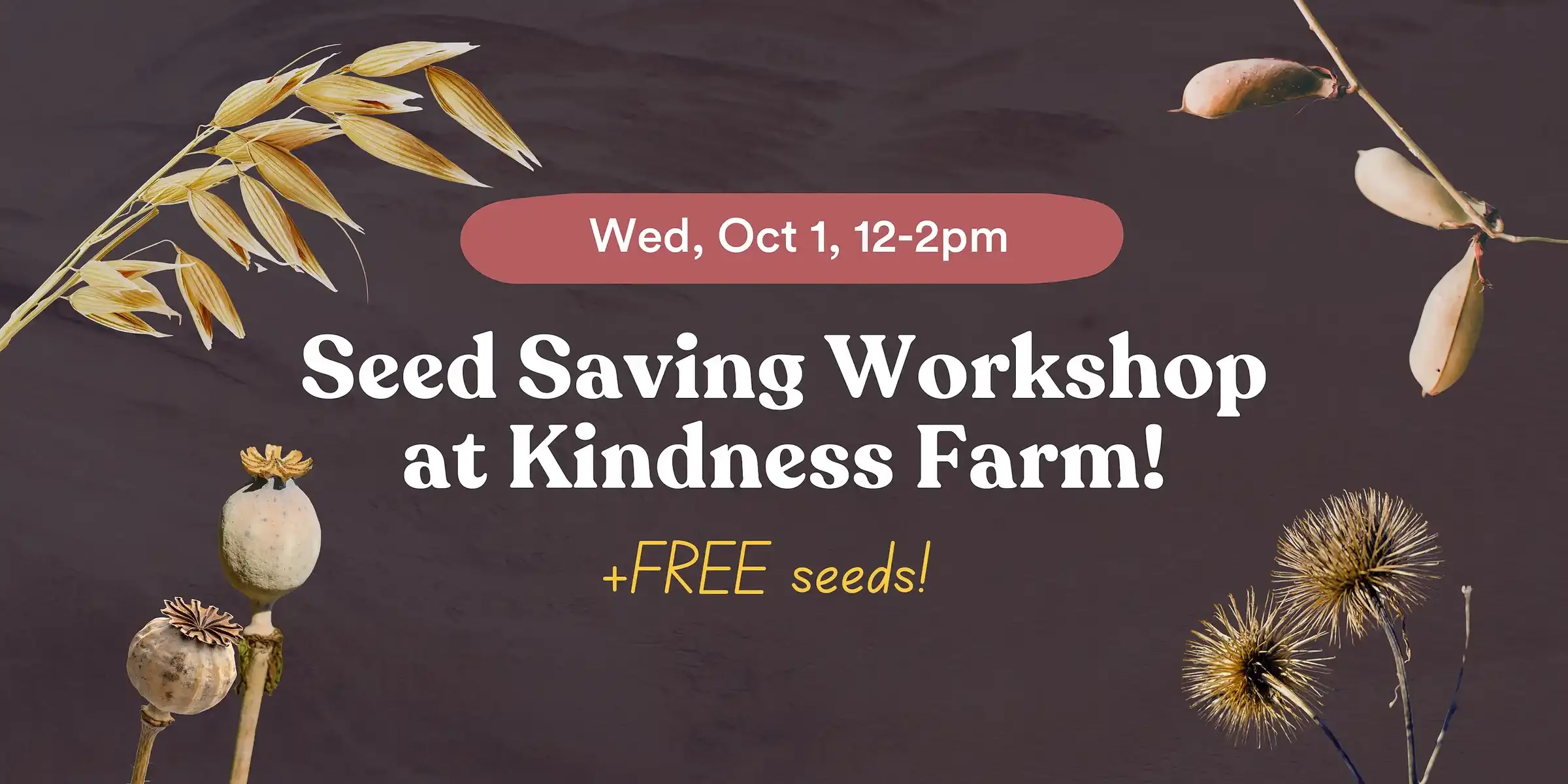 Seed Saving Workshop at Kindness Farm
