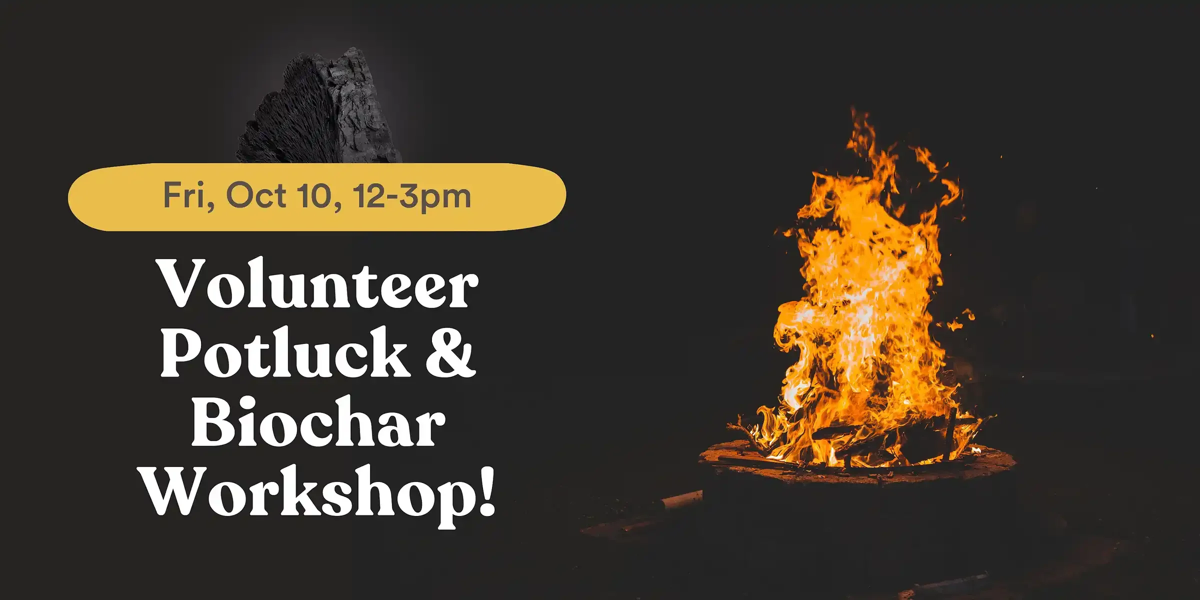 Volunteer Potluck and Biochar Workshop at Kindness Farm