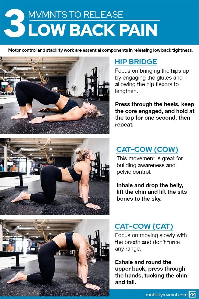 Back Pain and Stiffness - Why You May Have It And How To Fix It - Part 1