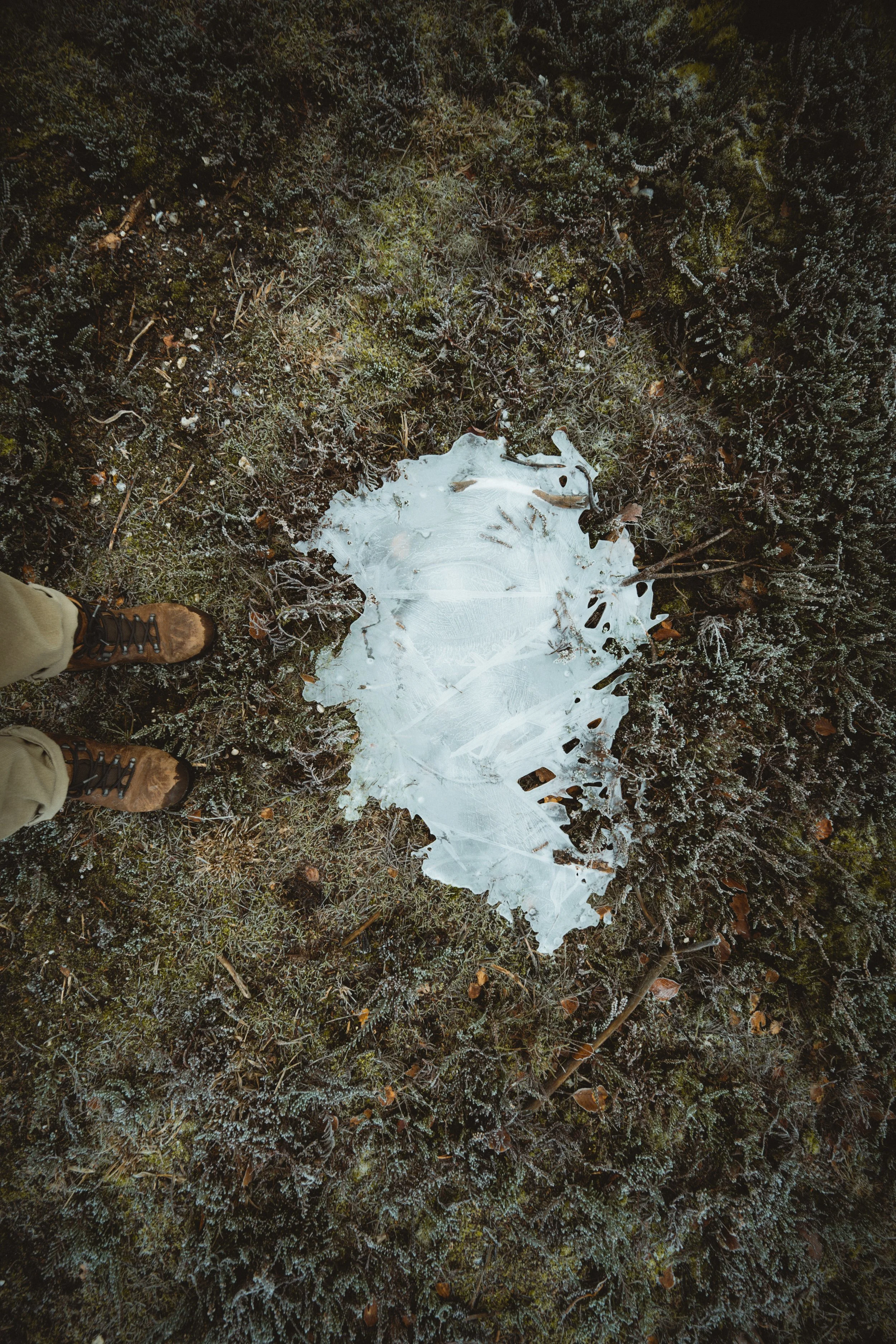 Frozen Ice Patch - Kensho Studio.jpg