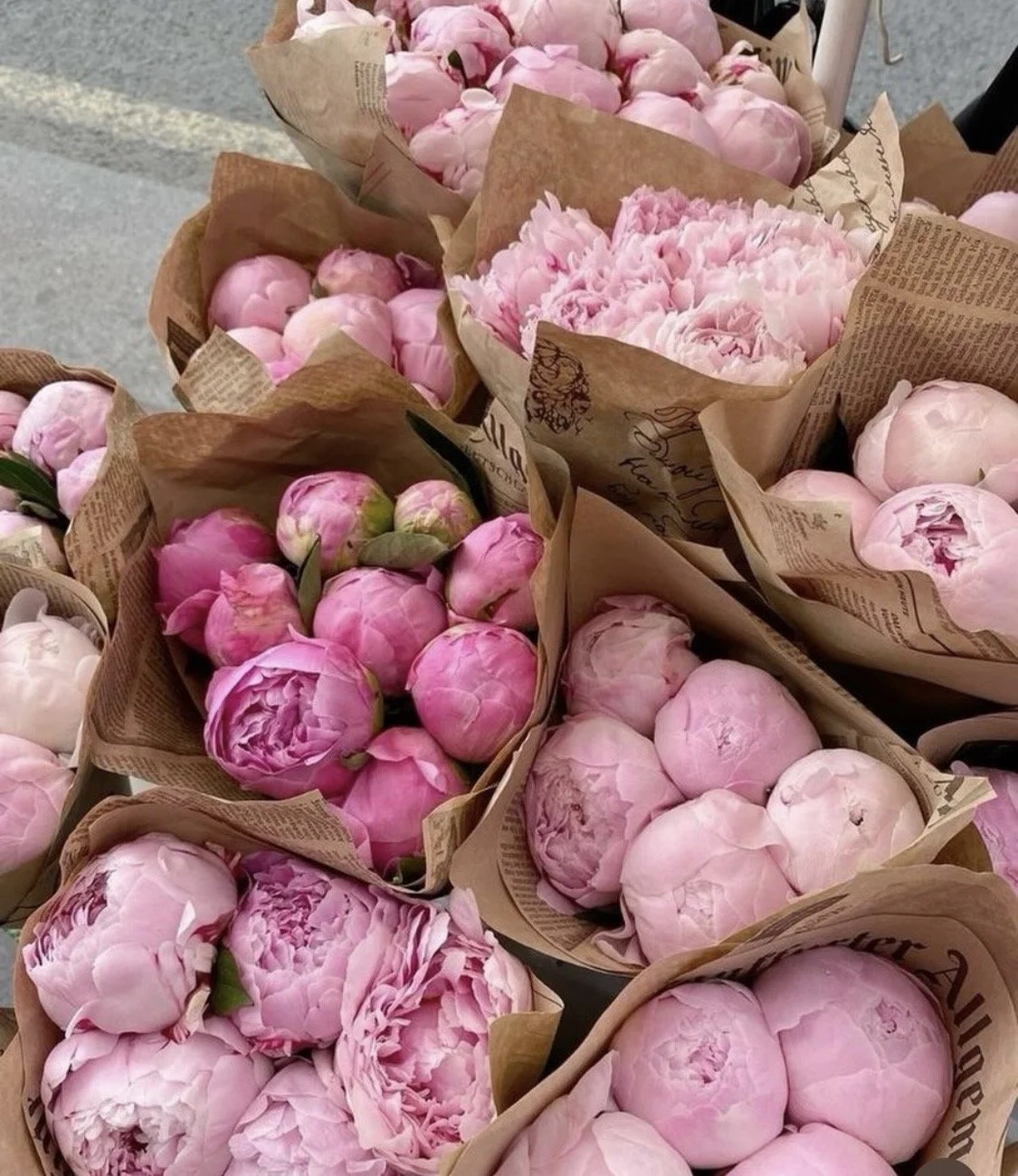 pink peonies wrapped in paper
