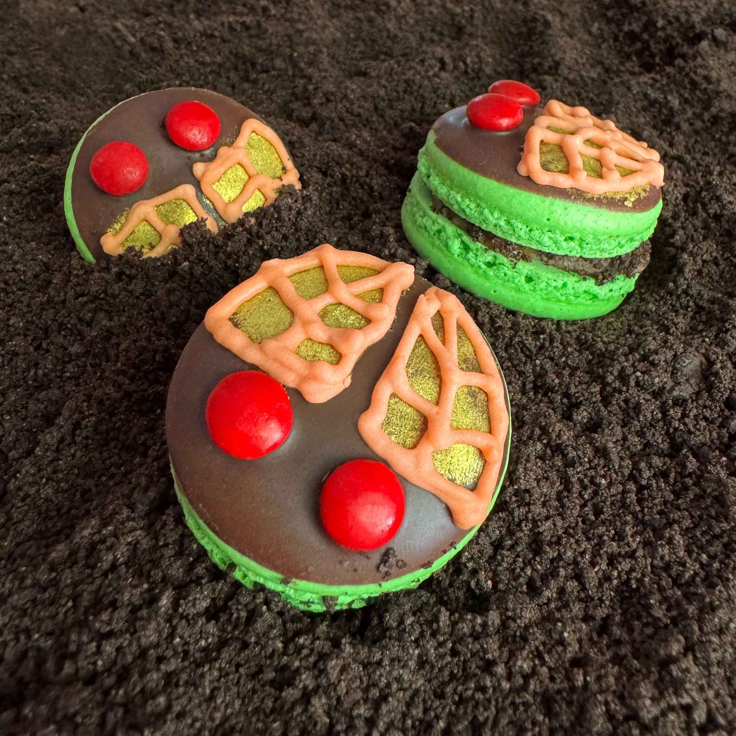 Cicada macarons 